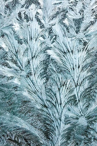 USA- Washington State- Sammamish. Frost on auto window Art Print